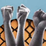 Women’s movement history